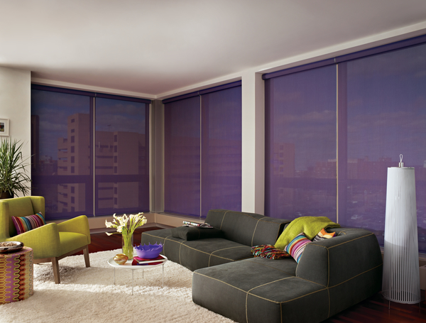 Hunter Douglas designer Screen Shades