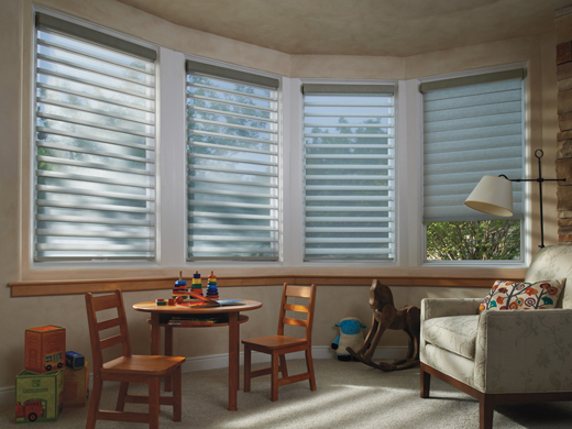 Silhouette® Window Shadings