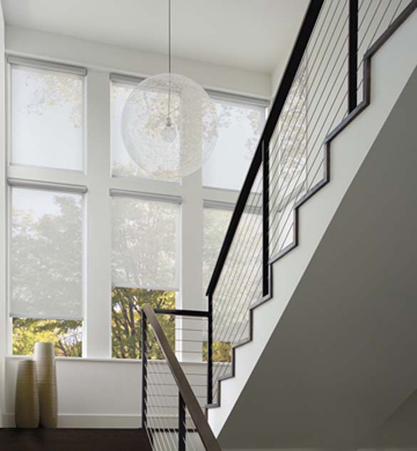 Designer Roller Shades