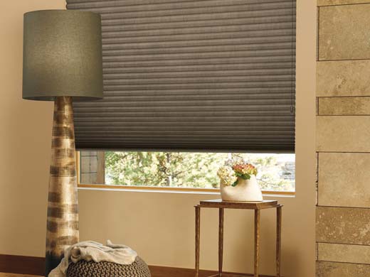 Duette® Honeycomb Shades